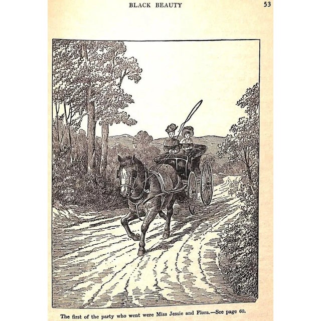 "Black Beauty: The Autobiography of a Horse" 1929 Sewell, Anna For Sale In New York - Image 6 of 13