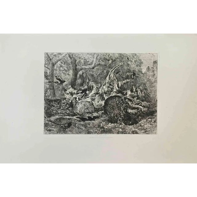 Jules Laurens, Pies Sous Bois, Etching, 1870s For Sale