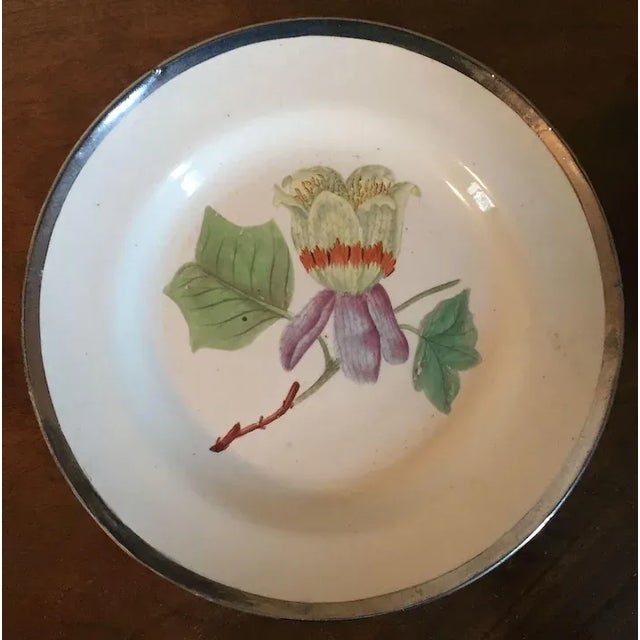 1810 English George III Pearlware Botanical Plates with Hand Painted Specimens & Silver Luster Borders - A Pair For Sale - Image 4 of 8