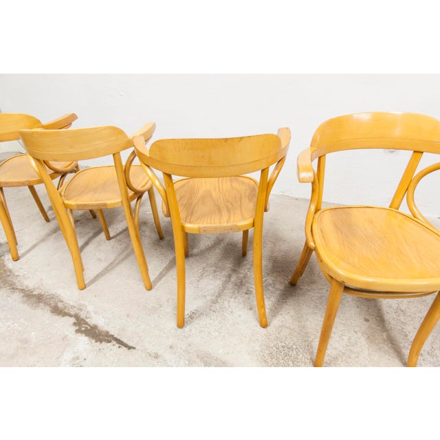 Set of 4 Scandinavian bistro-style armchairs from the 1960s. They have a golden honey color and are in superb condition....