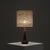 Teak and Brass Table Lamp with Silk Shade, Denmark, 1960s For Sale - Image 3 of 8