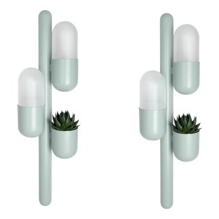 Cactus Wall Lamps by Creativemary, Set of 2 For Sale