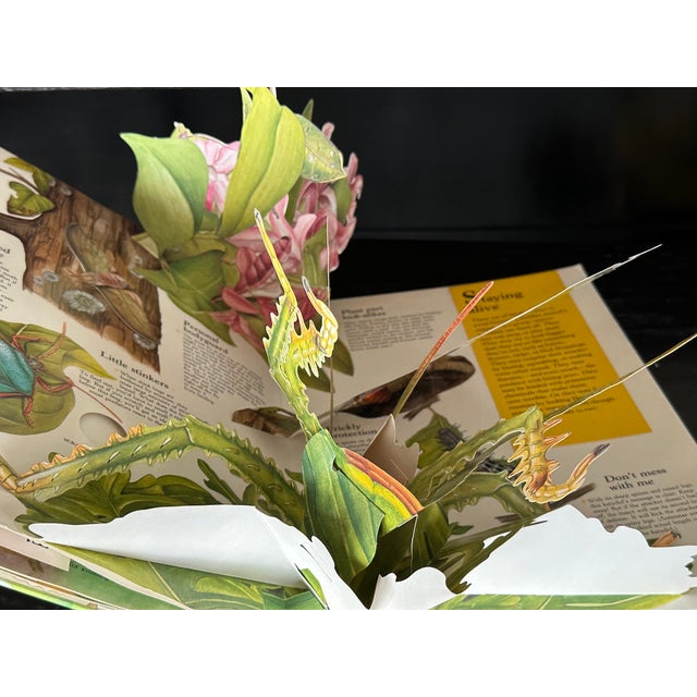 Paper Bug Pop Up Book For Sale - Image 7 of 8