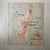 1950s Vintage School Map of Indochina and Madagascar, 1950s For Sale - Image 5 of 8