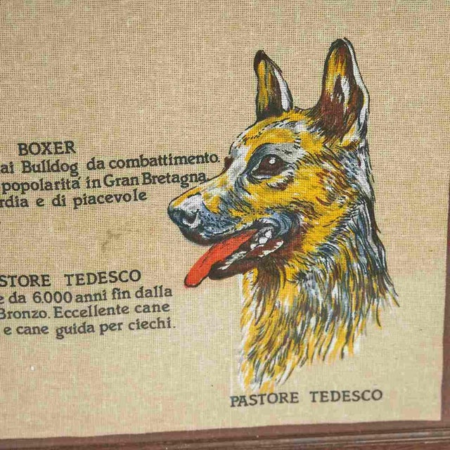 Vintage Dog Breed Prints from the 1960s