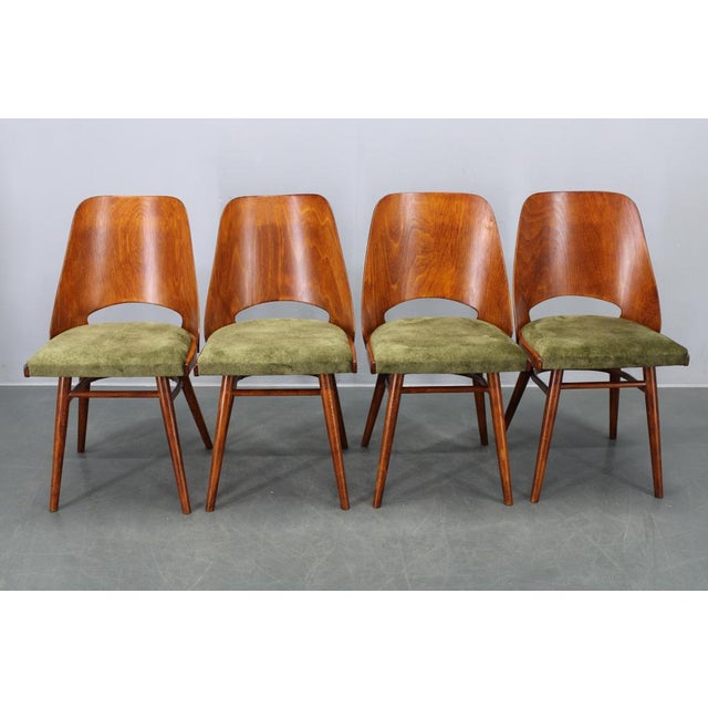 Oswald Haerdtl Mid-Century Model Ton 514 Dining Chairs attributed to Osvald Haerdtl for Ton, 1960s, Set of 4 For Sale - Image 4 of 16