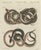 Bertuch, Four Intertwined Snakes, 1805, Print For Sale - Image 12 of 12