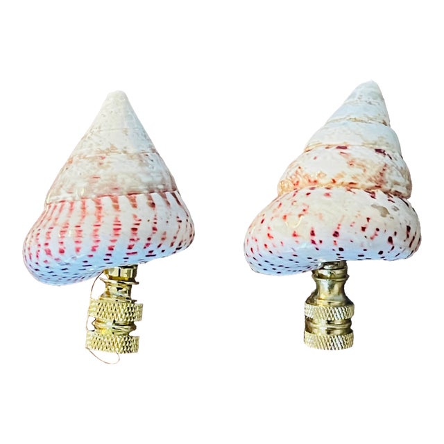 1970s Organizing C Sea Shell Lamp Finials Pair For Sale