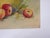 Early 20th Century Still Life With Apples Watercolor Painting For Sale In Seattle - Image 6 of 8