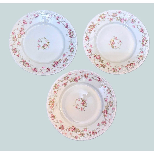 Haviland & Co. Antique Haviland Limoges Luncheon Plates - Schleiger Patterns - Set of 6 For Sale - Image 4 of 12