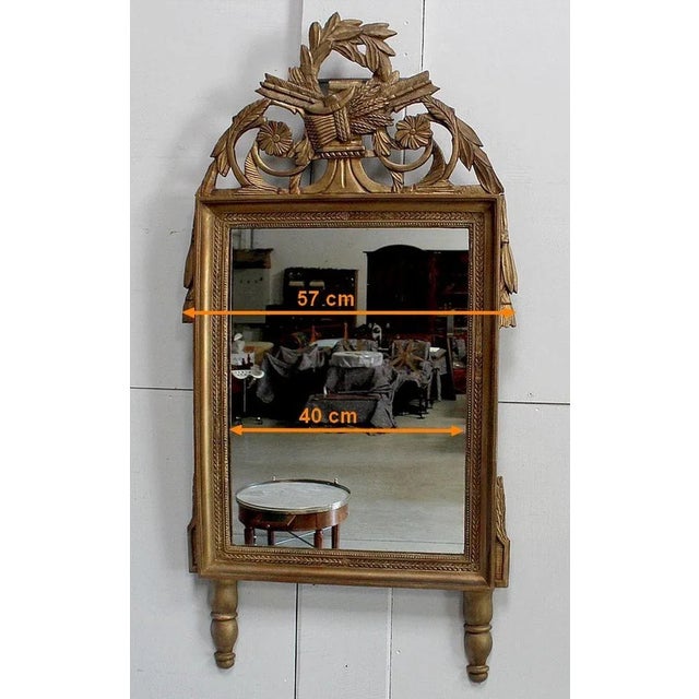 Golden Wood Louis XVI Style Mirror, 19th Century For Sale - Image 16 of 18