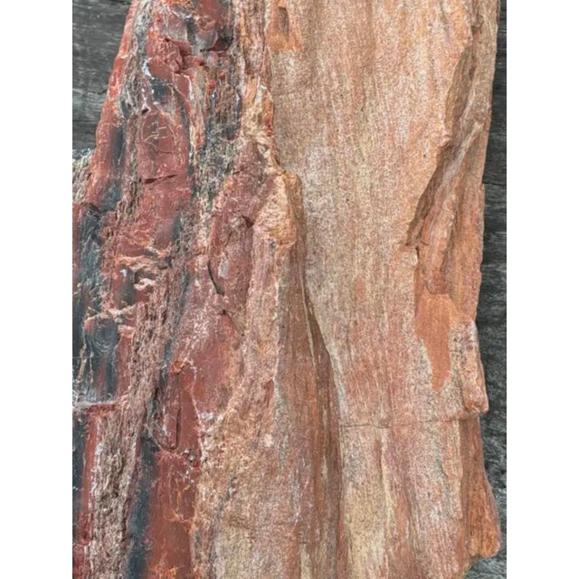Petrified Wood Sculpture, Organic Modern Design, #2 For Sale - Image 11 of 13
