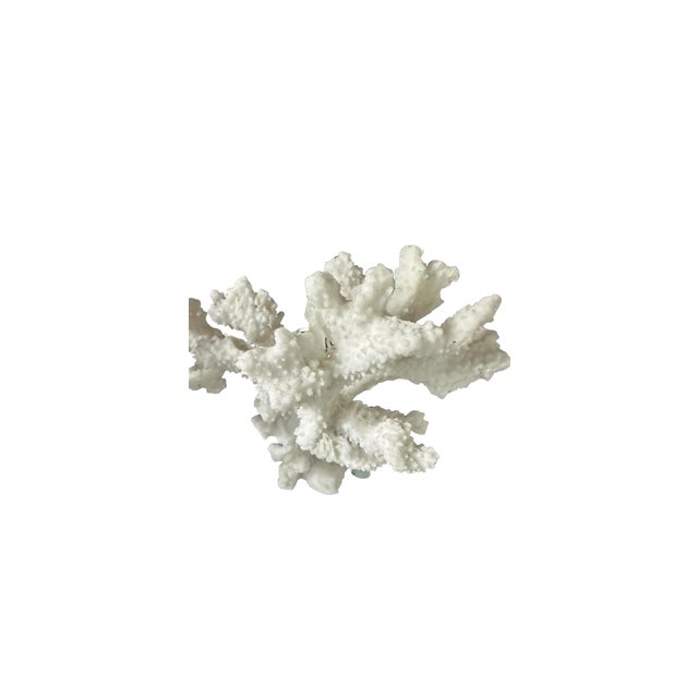 Contemporary Set of Two Faux White Coral Vintage Sculptures Decor Pieces on Clear Plexiglass For Sale - Image 3 of 8