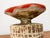 Mid-Century Modern German Studio Pottery Mushroom Vase from Hase Dietz Keramik, 1960s For Sale - Image 12 of 18