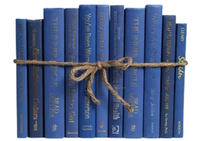 Decorative Books - Blue Jay Book Bundle - 1 Foot of Blue Books