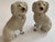 English 19th Century Staffordshire Poodles - a Pair For Sale - Image 3 of 13