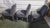 Vintage Chairs by Antonio Citterio for B&B Italia, 2000s, Set of 3 For Sale - Image 6 of 9