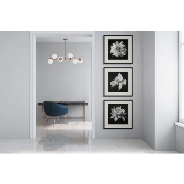 20" X 20" - 'Nutmeg Flower' - Black and White Botanical Photography Print For Sale - Image 6 of 6