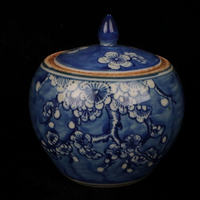 Blue and White Plum Blossom Porcelain Ginger Jar, Chinoiserie Lidded Canister For Sale In New York - Image 6 of 9
