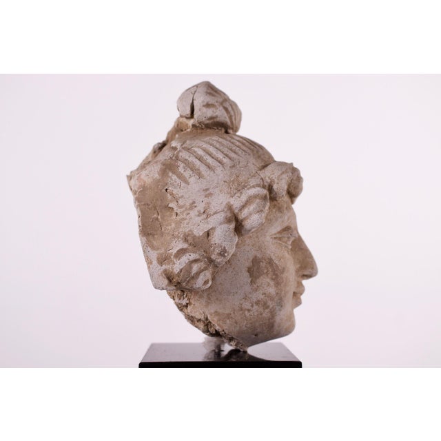 Gandhara Artist, Head of Bodhisattva, 1800s, Stucco For Sale - Image 9 of 10