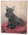 A newly framed original pastel portrait of a Scottish Terrier by Gladys Emerson Cook (1899-1976), one of the United...