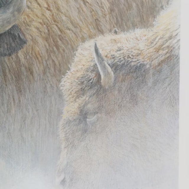 Late 20th Century Late 20th Century Robert Bateman "Wood Bison" Lithograph Framed, Signed For Sale - Image 5 of 11