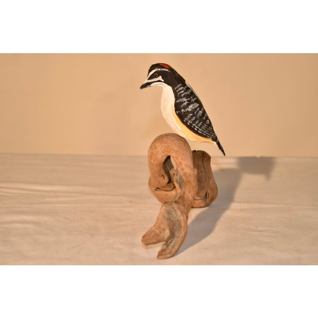 Folk Art Nc Hand-Carving of a Woodpecker Driftwood, Circa 1960 For Sale - Image 3 of 6
