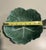 Bordallo Pinheiro Vintage Bordallo Pinheiro Green Cabbage Majolica Leaf Ceramic Bowls-Set of 2 For Sale - Image 4 of 4