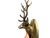Brass Brass Deer Wall Hook – Rustic Animal Head Hanger For Sale - Image 8 of 9