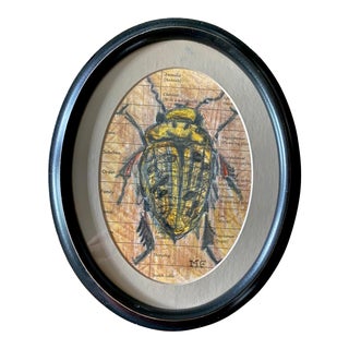 Contemporary Original Insect Series Crayon Drawing of a Yellow Beetle by Memo Faraj, Framed For Sale