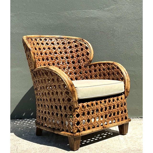 Brown Vintage French Cane Lounge Chair For Sale - Image 8 of 17