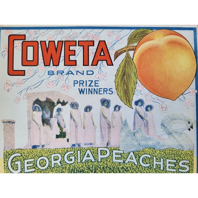 An antique Georgia Peach label from the 1920s/1930s. It reads. 'Coweta Brand Prize Winners - Georgia Peaches - Prize...