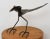 Mid Century Steel Brutalist Bird Table Sculpture For Sale - Image 9 of 12