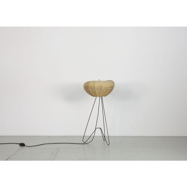 Coccon-Shaped Three-Legged Floor Lamp, 1950s For Sale - Image 4 of 18