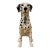 Large Vintage Beswick England Fireside Dalmatian Dog Statue – Model 2271 (Early Royal Doulton) For Sale