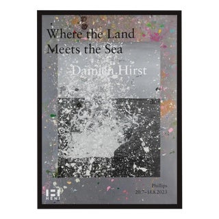 Damien Hirst, Where the Land Meets the Sea, 2023, Print, Framed For Sale