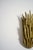Pico 40cm Beige Wall Sconce Lamp, Barracuda Edition. For Sale - Image 4 of 5