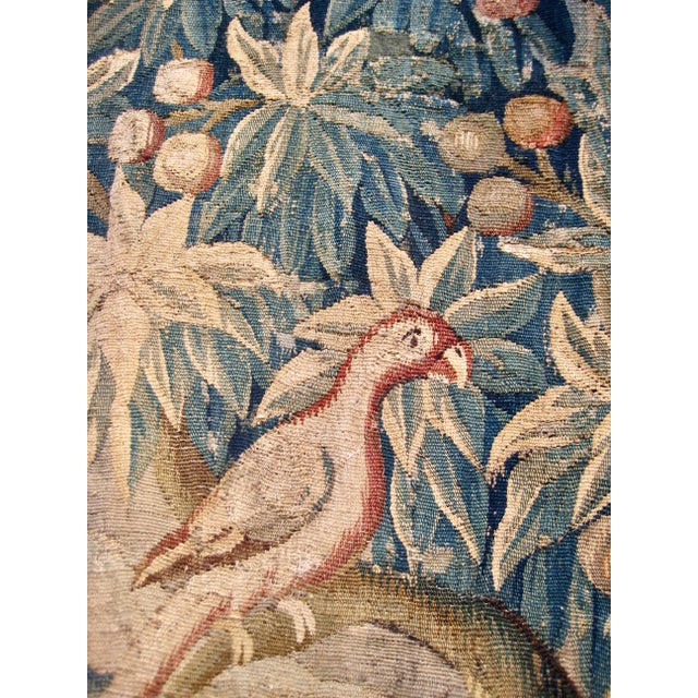 French Aubusson Verdure Two Peacocks, Parrot and Boats 18 Century For Sale - Image 10 of 17