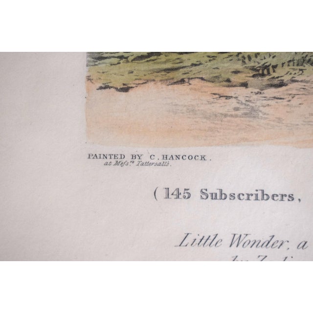 Traditional Little Wonder, Winner of the Derby Stakes at Epsom 1840 Aquatint by Charles Hancock For Sale - Image 3 of 7