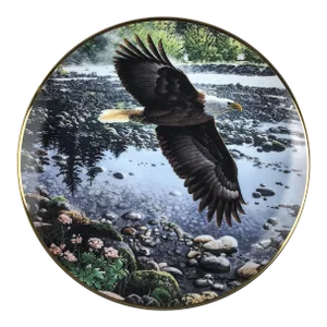 Seasons of the Bald Eagle Plate Collection