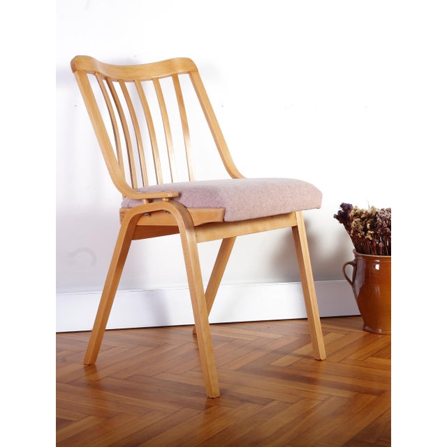 Pink Mid-Century Czechoslovakian Dining Chair in Bentwood from Ton, 1970s For Sale - Image 8 of 18