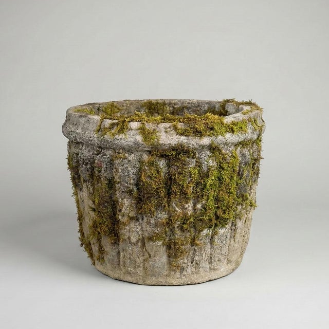Beige Vintage French Garden Pot with Fluted Edges in Reconstituted Stone, 1950 For Sale - Image 8 of 8
