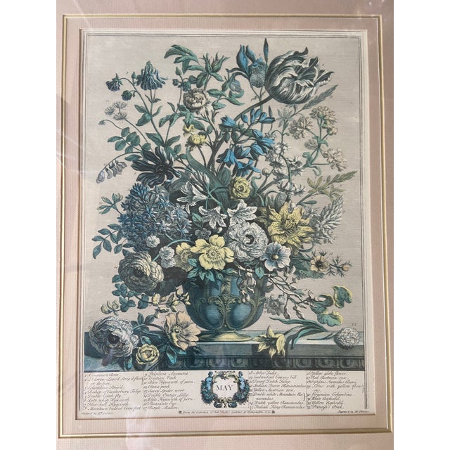 Wood Vintage Robert Furber May Botanical Calendar Print, Framed For Sale - Image 7 of 12