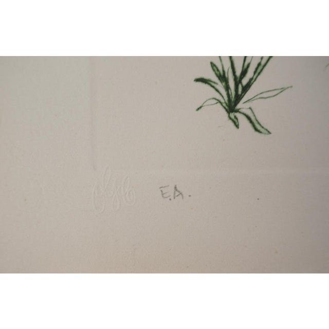 Salvador Dali, Under the Umbrella Pine, 1970, Original Etching For Sale - Image 4 of 7