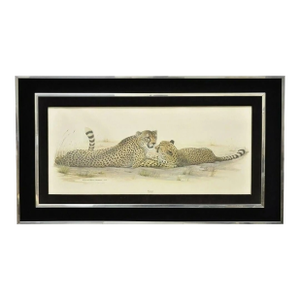 1972 Cheetah Lithograph Art by Richard Evans Younger in Velvet Chrome Frame