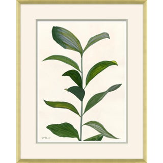 Sea Greens Framed Art Print by Susan Hable For Sale