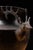 Vintage Cast Metal Pedestal Jardinière With Sculptural Stag Handles For Sale In Chicago - Image 6 of 11