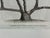 Natural Curiosities “Vine” William Forsyth 1802 Oversized Botanical Print For Sale - Image 4 of 9