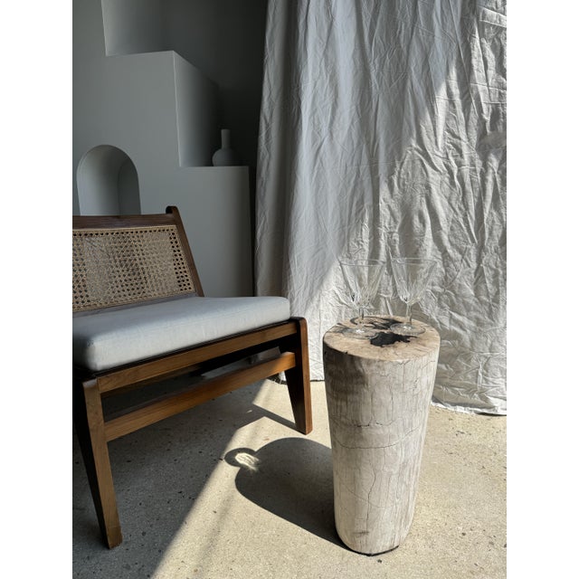 Side Table in White Petrified Wood with Black Spots For Sale - Image 3 of 18