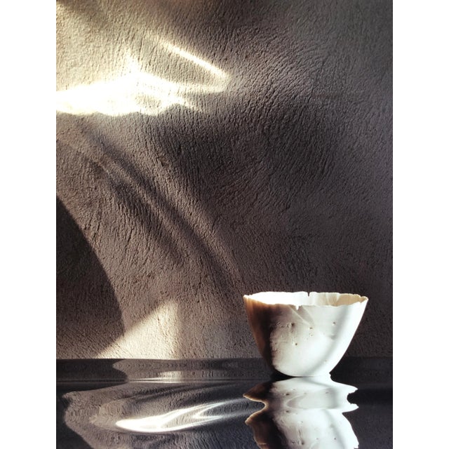 Modern 2004 Peter C. Jones "Snipes Vessel, Ceramic" Still Life Large Format Color Photograph For Sale - Image 3 of 8